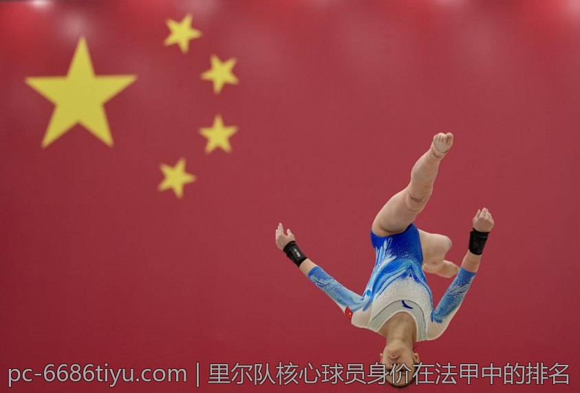 里尔队核心球员身价在法甲中的排名