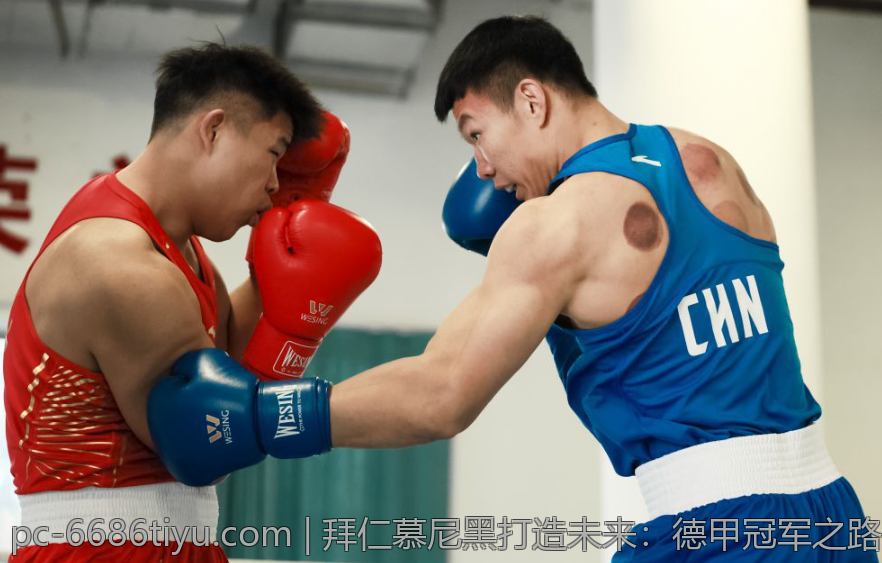 拜仁慕尼黑打造未来：德甲冠军之路的战略布局